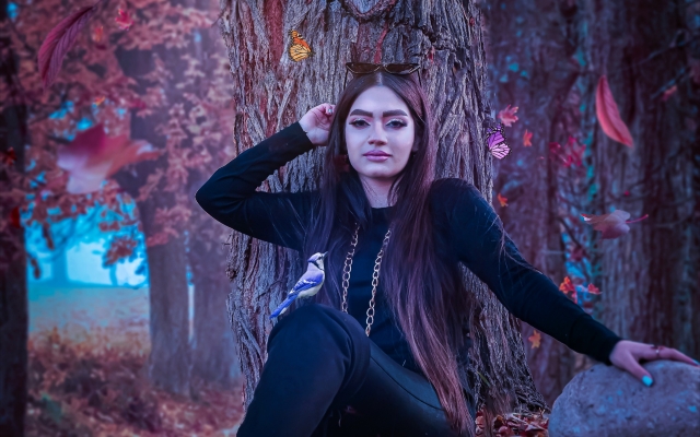 عکس های شمارو مونتاژ و ادیت کنم.