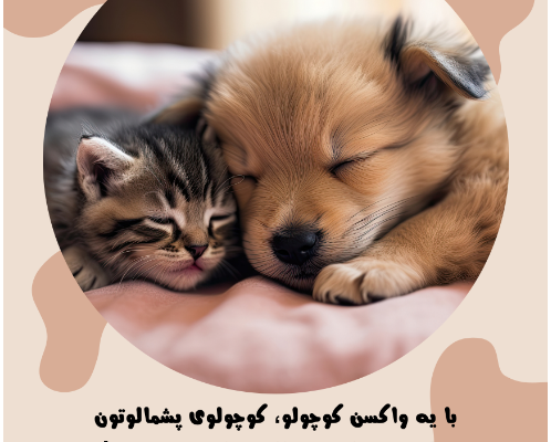 تراکت و پوستر برای دوره یا تبلیغات کسب‌وکار طراحی کنم