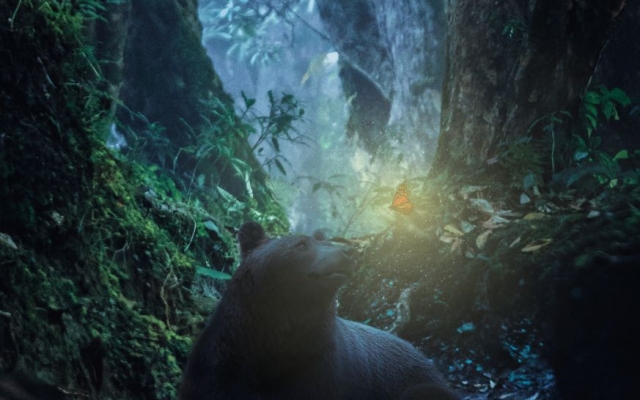 عکس های شمارو مونتاژ و ادیت کنم.