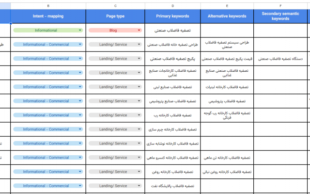استراتژی سئو و محتوایی سایت شما رو بچینم