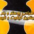 پوستر و کاور تبلیغاتی طراحی کنم