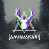 AminAskari
