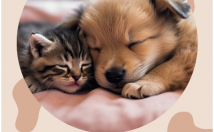 تراکت-پوستر-دوره-تبلیغات-کسب‌وکار-طراحی