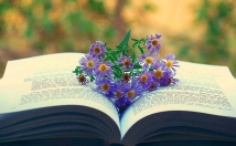 زمینه-دامپزشکی-دامداری-کتاب-مقاله-ترجمه