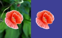 حذف-زمینه-دوربری