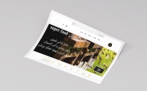 طراحی-سایت-وردپرس-سئو-سایت