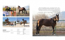 بروشور-کاتالوگ-تراکت-مطابق-سلیقه-درخواست-طراحی