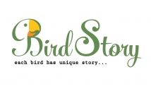 لوگوی-کسب-کار-شمارو-طراحی