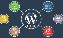 بهینه-سازی-سئو-وردپرس