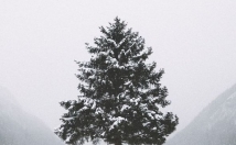 ساخت-پاورپوینت-جذاب